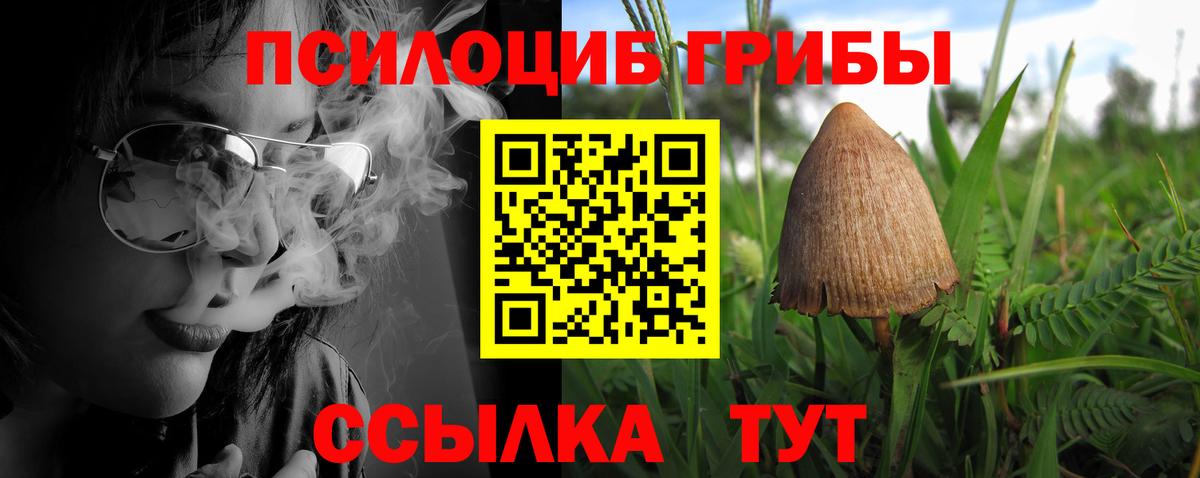 Псилоцибиновые грибы ЛСД  Вход с VPN  Тулун  Галлюциногенные грибы прущие грибы 